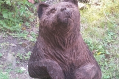 Bear 1