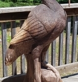 20180708_213105.jpg-nggid0245-ngg0dyn-450x350-00f0w010c010r110f110r010t010