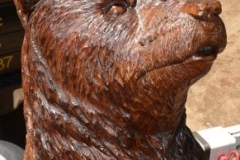 Bear-3-close.jpg-nggid0217-ngg0dyn-450x350-00f0w010c010r110f110r010t010