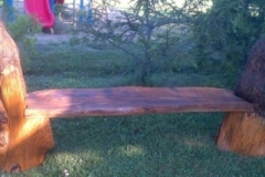 Bench-1.jpg-nggid0219-ngg0dyn-450x350-00f0w010c010r110f110r010t010