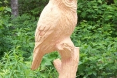 Owl-1-grey.jpg-nggid0233-ngg0dyn-450x350-00f0w010c010r110f110r010t010