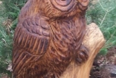 Owl-2-Horned.png-nggid0234-ngg0dyn-450x350-00f0w010c010r110f110r010t010