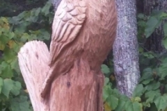Owl-3.jpg-nggid0235-ngg0dyn-450x350-00f0w010c010r110f110r010t010