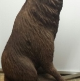 Wolf-1.png-nggid0241-ngg0dyn-450x350-00f0w010c010r110f110r010t010