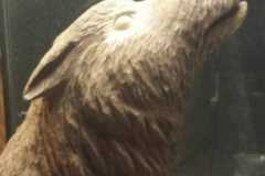 Wolf-3-close.png-nggid0243-ngg0dyn-450x350-00f0w010c010r110f110r010t010
