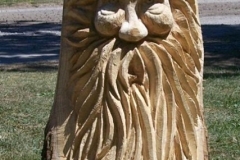 Face-1