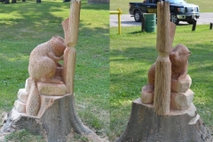 beaver-combined